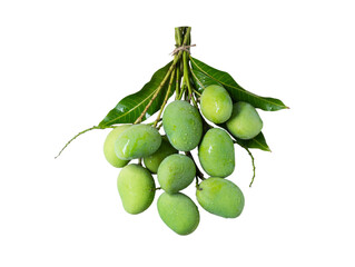 Green mango isolated on white background. Citrus fruits and tropical fruit concept.