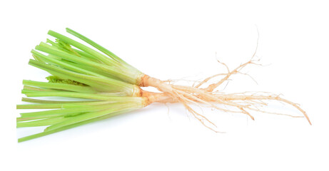 Wall Mural - Green fresh coriander root isolated on white background.