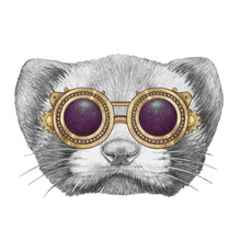 Portrait Of Least Weasel With Goggles. Hand-drawn Illustration.