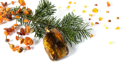 Glittering green and yellow Baltic amber pendant and orange amber necklace with fresh fir branch on the white background. Isolated object. 