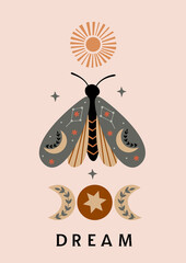 celestial poster with moth, sun, moon phases