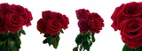 Fototapeta  - Bouquet of five red red roses with dew drops close up in daylight with different views on a white background