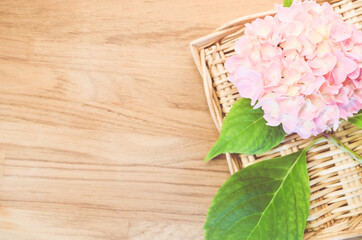 Wall Mural - A top view shot of a beautiful Hydrangea flower on a wooden table