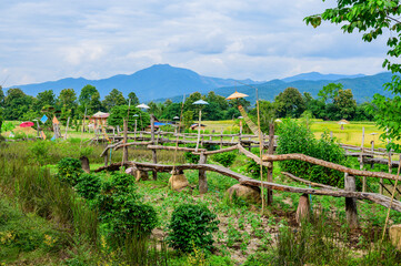 Canvas Print - Small Wood Bridge with Rice Field in Pua District