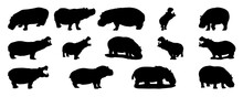 A Set Of Silhouettes Of Hippopotamuses Isolated On White Background