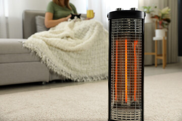 Poster - Woman with cat at home, focus on electric halogen heater, closeup