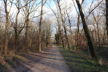 Wall Mural - Le parc de la Feyssine en hiver, grand espace vert au bord du fleuve Rhône, ville de Villeurbanne, département du Rhône, France