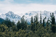 © El Sonido del Sur - cordillera de los andes llenas de nieve en argentina