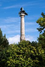 Boavista Roundabout Monument. Statue Of A Lion Defeating An Eagle. Trees Around The Monument. Blue Sky.