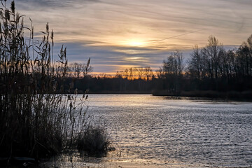 Wall Mural - Sonnenaufgang am Waldsee Lauer in Markkleeberg bei Leipzig.