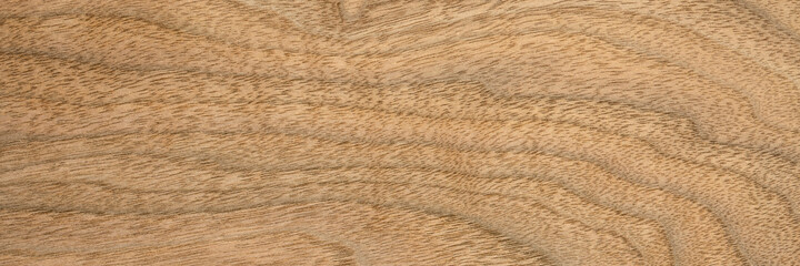 background and texture of wood veneer - walnut tree, panoramic web banner