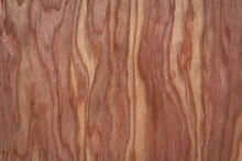 Background And Texture Of Wood Veneer - Red Cedar Tree