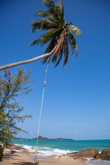 Sticker - palm trees on the beach