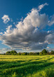 Green cultivated fields and meadows with blue sky and big white clouds