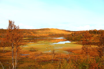 Wall Mural - autumn landscape with lake