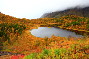 Canvas Print - autumn landscape with lake