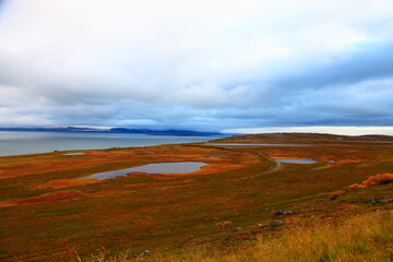 Canvas Print - autumn nature of northern norway