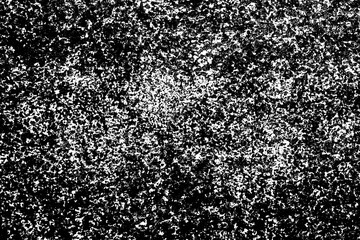 Canvas Print - Abstract closeup black spray dots paint on white paper. Ink stains background. Black paint splashes texture. Distressed splatter on white paper. Grainy spray paint pattern.