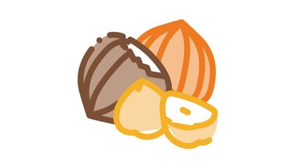 Sticker - hazelnut nut Icon Animation. color hazelnut nut animated icon on white background