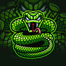 Viper Esport Mascot Logo Design