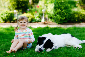 Cute little toddler girl playing with family dog in garden. Happy smiling child having fun with dog, hugging playing with ball. Happy family outdoors. Friendship and love between animal and kids