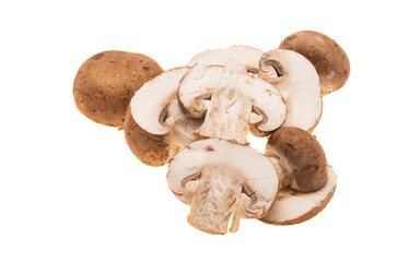 Sticker - champignon mushrooms isolated