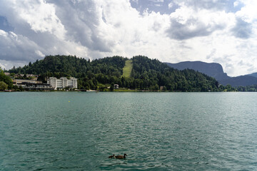 Canvas Print - A mesmerizing shot of Lake Bled, Slovenia surrounded by forest mountains and buildings