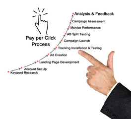 Wall Mural - components of pay per click process.