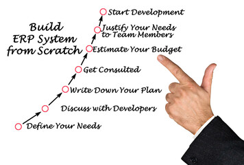 build erp system from scratch
