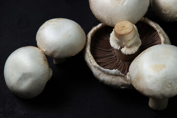 Champignons on a black background. White mushrooms. Natural product. Healthy food.