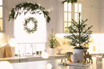 Poster - Small Christmas trees and festive decor in kitchen