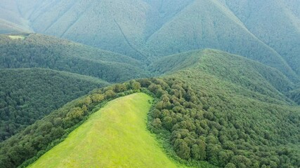 Wall Mural - Magic hills with lush green grass in summer Carpathian mountains from fliying drone. UHD 4k video