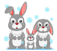 Family Of Hares Dad, Mom And Baby Under The Snow On A White Background. Character