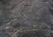 black leather texture worn with wrinkles - flat surface background looking like elephant skin