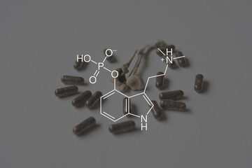 psilocybin formula. Legalization Medical . Medical psilocybin on the health of Mental health.