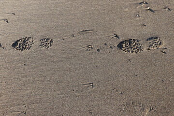 Two foot prints embedded in the still wet sand as the tide ebbs away.