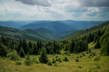 Poster - mountain forest aerial landscape photography spring time dramatic weather morning green highland outdoor environment space foreshortening from above with cloudy sky background scenic view