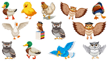 Poster - Set of different birds cartoon style isolated on white background