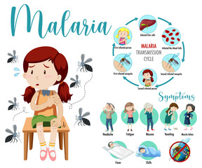 Wall Mural - Malaria transmission cycle and symptom information infographic