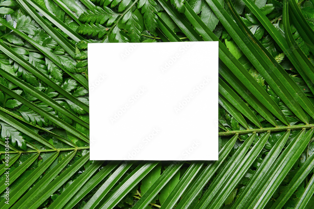 Blank paper sheet on green leaves