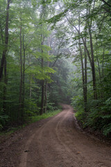 Sticker - A dirt road winding its way through a foggy forest