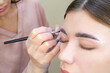 © Elena - Eyebrow coloring. Woman applying brow tint with makeup brush closeup.