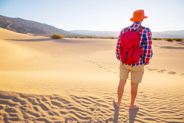 Canvas Print - Hike in the desert