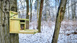 karmnik dla ptaków w parku zimą
