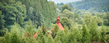 Fototapeta  - Kościół ukryty wśród drzew w Bieszczadach