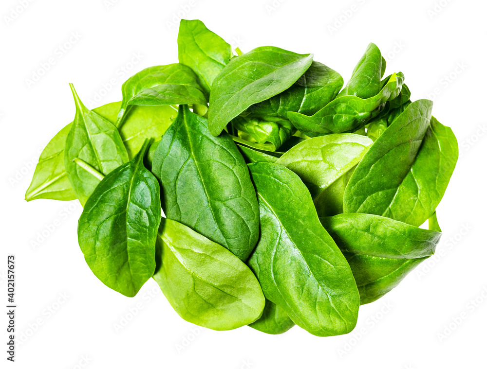 heap of fresh leaves of Spinach leafy vegetable cut out on white background - obrazy, fototapety, plakaty 