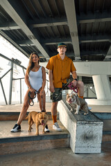 young stylishly dressed man and woman with an athletic figure with two american bully dogs under the bridge on city streets