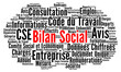 © Ricochet64 - Bilan social nuage de mots