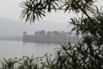 Wall Mural - fog on the lake, green bushes, India