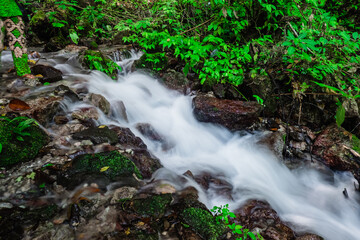 Rushing river flows over colorful rocks, which originate from a waterfall hidden in a dense tropical forest.